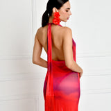 Arreboles Mesh Dress