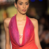 Arreboles Mesh Dress